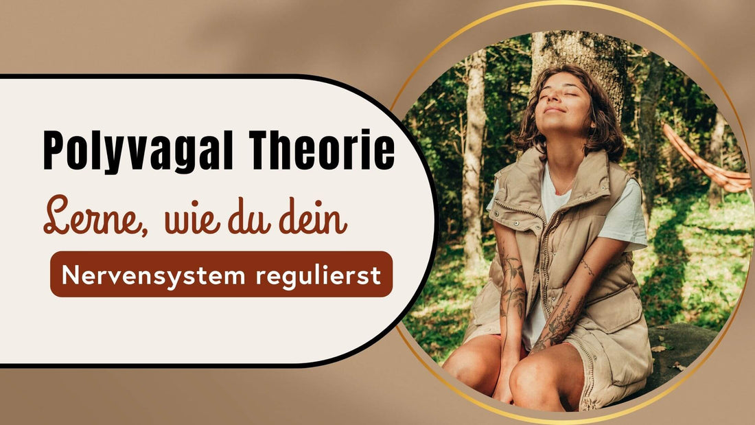 Die Polyvagal Theorie: Wie du dein Nervensystem regulieren kannst