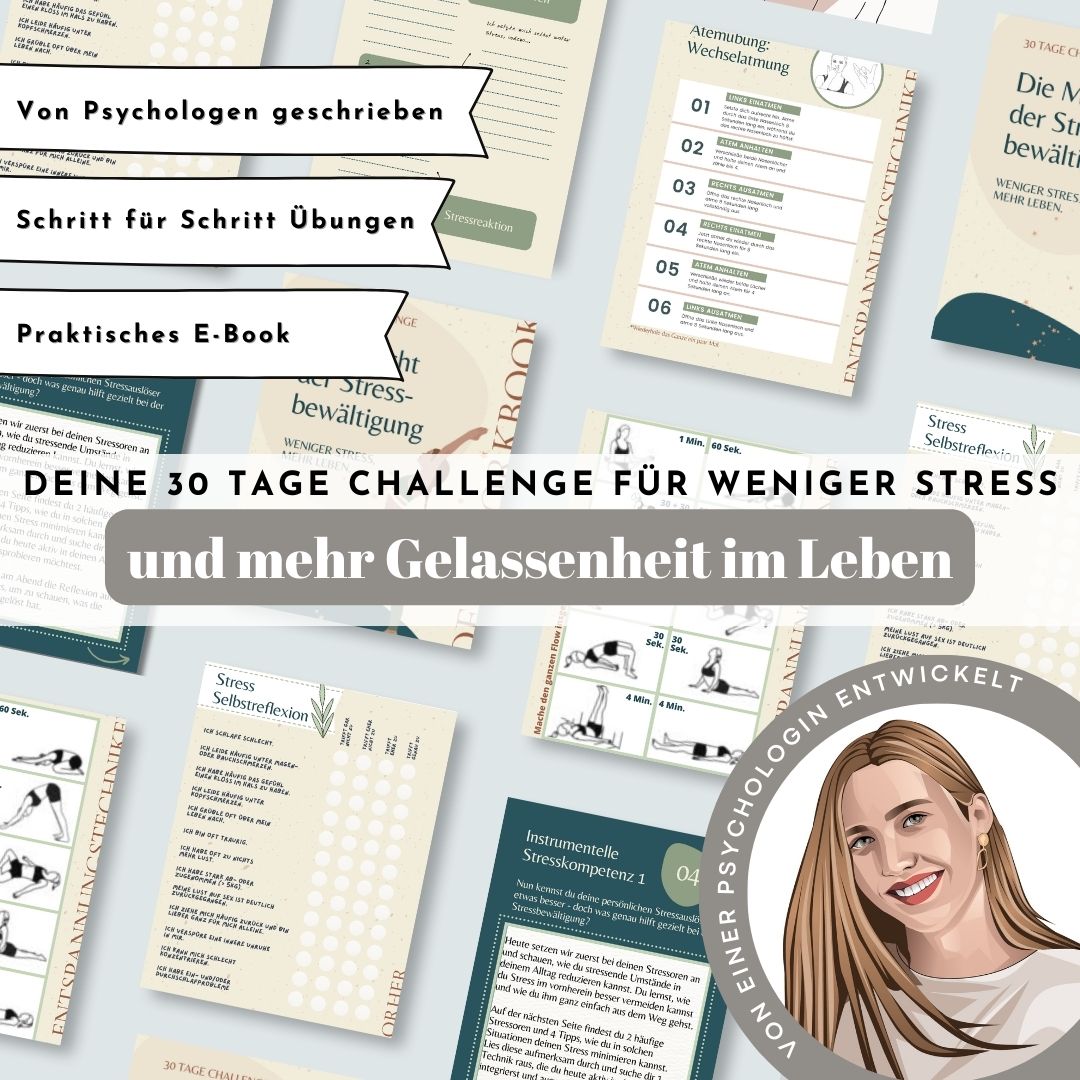 Stressfrei leben Workbook